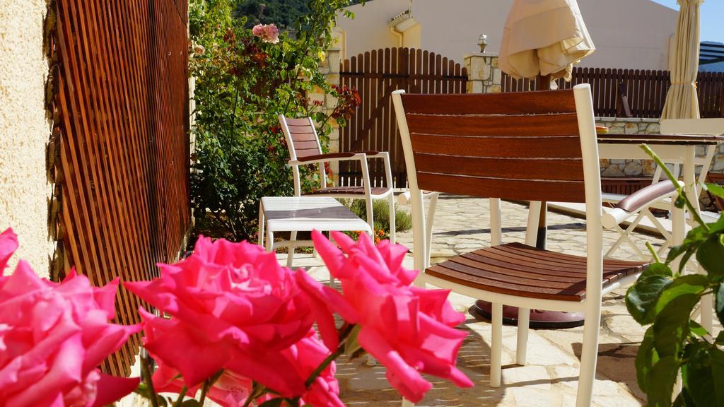 Villa Artemis Барбати Номер фото